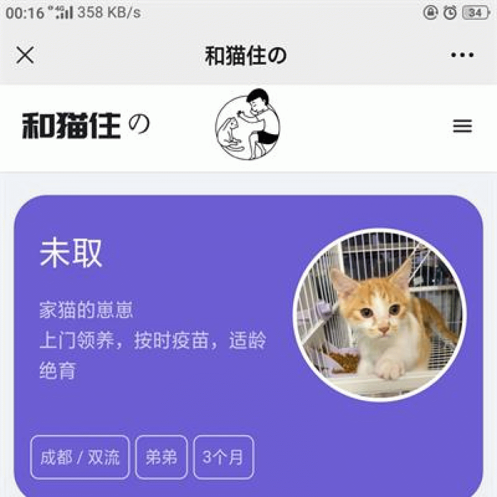 流浪猫流浪狗宠物领养平台H5源码 Thinkphp5内核